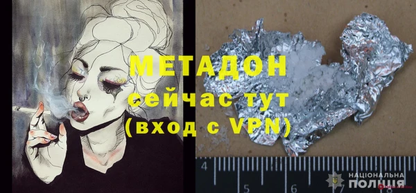 прущие грибы Вязьма