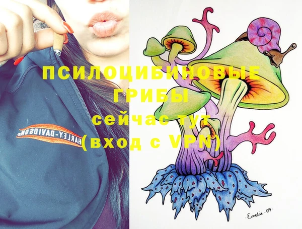 стафф Богородицк