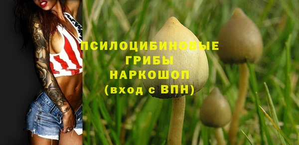 COCAINE Богданович
