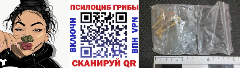 Галлюциногенные грибы Cubensis  Ярославль 